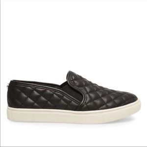 Steve Madden Ecentrcq Slip-On